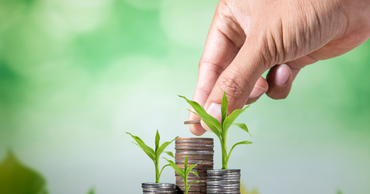 How Can Small Business Loans Help Grow Your Business? 